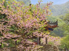 -西安祥峪森林公园