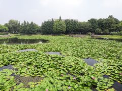 -苏州大学（独墅湖校区）-炳麟图书馆