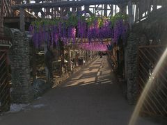 -呀路古热带植物园