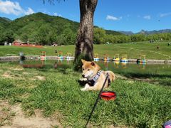 -玉渡山自然风景区