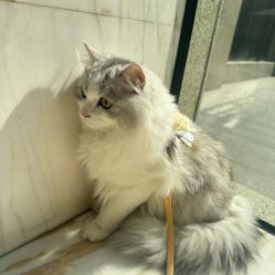 -杭州医巢医疗美容