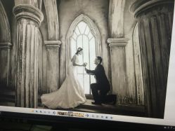 戛纳印象摄影工作室(南开定制店)-戛纳印象摄影(潮拍定制馆)