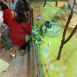 -酷嗒动物文化乐园(cutezoo西溪乐天城店)