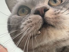 -美联众合24小时·皮肤科·外科·全科诊疗中心(华苑分院)