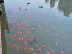 -前关湿地公园