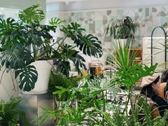 -一尺花园(安和花园店)