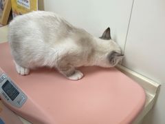 -宠颐生中康贝怡动物医院