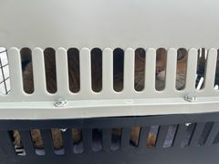 -美迦爱-牙专科·兔科·骨科诊疗中心(北苑店)