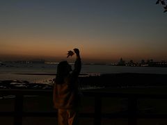 -八大关景区