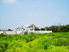 -天津东丽湖风景区