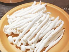 -龍歌自助小火锅(崂山丽达店)