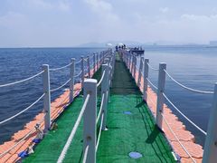 -养马岛旅游度假区
