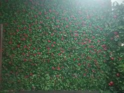 -韩国艺匠ARTIZ STUDIO(博览中心店)