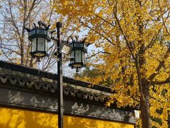 -西园戒幢律寺