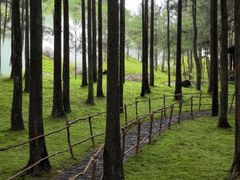 -玉苍山国家森林公园
