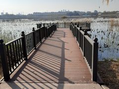 -天津东丽湖风景区