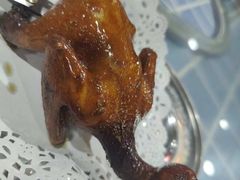 -石岐乳鸽村(南海第三分店)