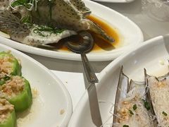 清蒸老鼠斑-强记海鲜·大排档(蛇口新街店)