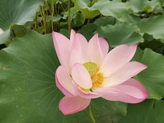 -南戴河国际娱乐中心