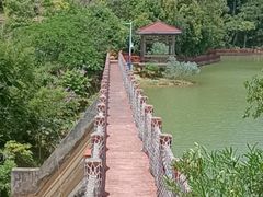 -广州白江湖森林公园