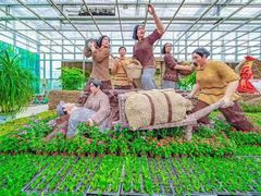 -兰陵国家农业公园