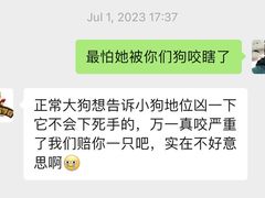 -柴犬高等学院·狗咖·柴犬售卖·宠物训练