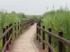 -西青郊野公园