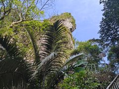 -七仙岭温泉国家森林公园