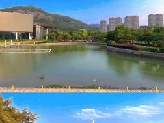 -龙江公园