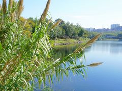 -广东花都湖国家湿地公园