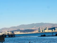 -洱海月湿地公园