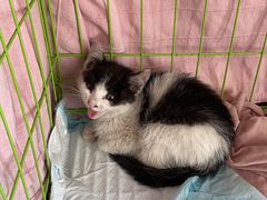 -爱派特动物医院·全科诊疗中心