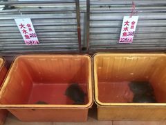 -荔城生鲜盛宴(番禺旗舰店)