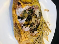 -老牌坊鲁菜名店(聊城美食岛店)