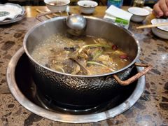 -乳仔牛牦牛汤锅 烤羊排(松潘古城店)