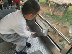 -西安秦岭野生动物园