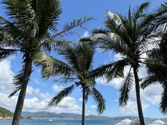 -三亚太阳湾柏悦酒店