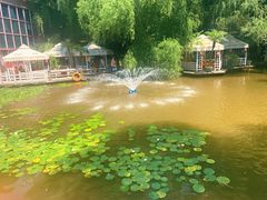 -大鹅岛绿色生态美食园