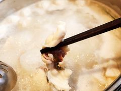 招牌鲜鱼片-淘米捞·米汤脆鲩鱼火锅(福田皇岗店)