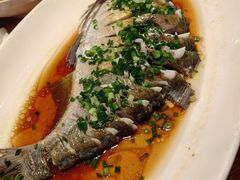 -7017浙菜•建德味(中财店)