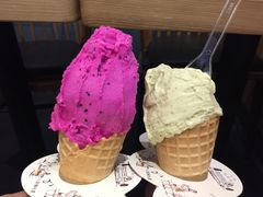 -野人先生现做冰淇淋(北京顺义祥云小镇店)