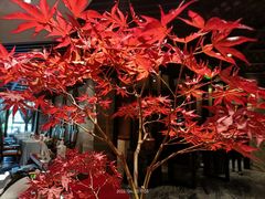 -南堂館川菜文化餐厅(天府店)