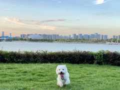 -西安浐灞艾美酒店·汉江餐厅·火锅