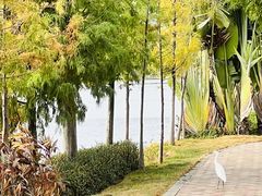 -厦门园林博览苑
