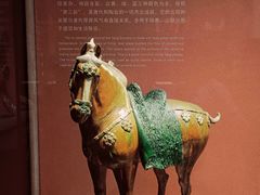 -陕西历史博物馆