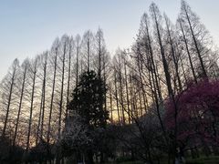 -杭州植物园