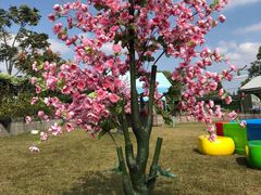 -上海长兴岛郊野公园