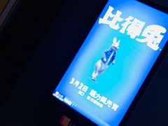 -AMG海上明珠影城(上海环球港RealDCinema店)