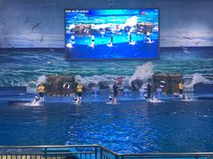 -多彩贵州城极地海洋世界