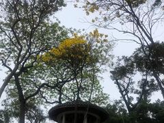 -广州市白云山风景名胜区